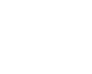 Escorting and VIP Protection